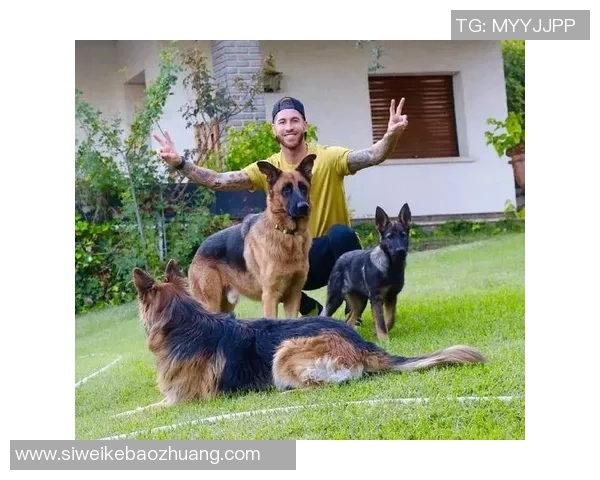 足球明星们的宠物生活：他们如何与爱犬共享训练与比赛之外的时光
